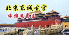 欧美黑吊汆穴视频中国北京-东城古宫旅游风景区